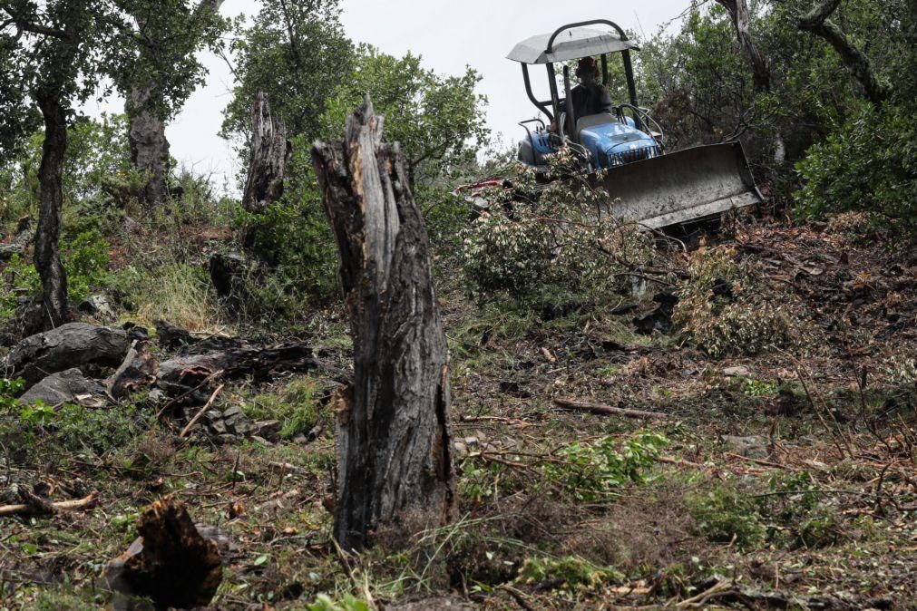 MAI apela à limpeza dos terrenos rurais