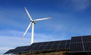 Pacto Climático Europeu pede ao Governo transposição de diretiva das energias renováveis
