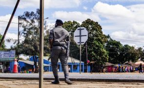 Moçambique/Ataques: Um terrorista morto após confronto com Forças Armadas - Governo