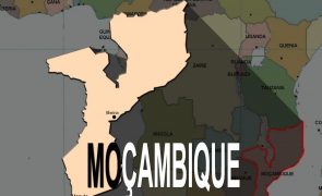 Moçambique/Ataques: Terroristas vandalizam e saqueiam lojas em Macomia