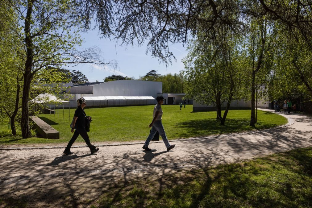 Fundação de Serralves recebe doação do arquivo de Julião Sarmento