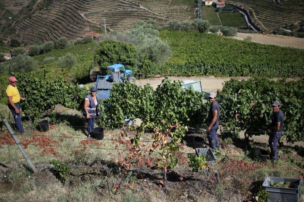 Agricultores pedem medidas concretas de valorização dos preços à produção