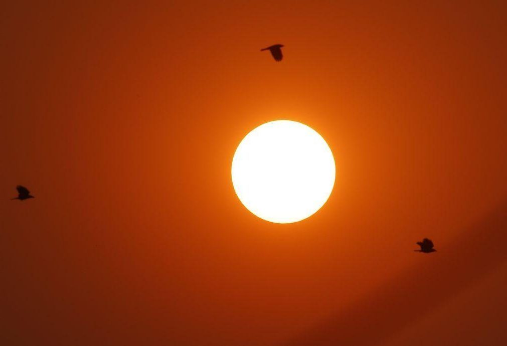 DGS recomenda medidas de proteção contra o calor previsto para os próximos dias