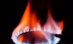 ERSE aprova aumento de 6,9% do gás natural em mercado regulado em outubro
