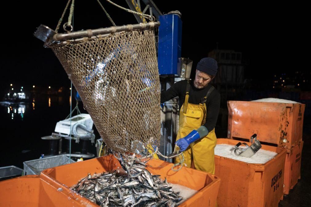 Frota portuguesa captura mais 3,3% de pescado em 2023