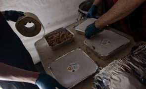 World Central Kitchen distribuiu 50 milhões de refeições em Gaza desde ataque