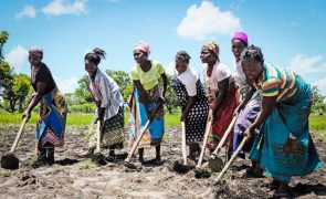 Moçambique acrescentado à lista de focos de fome em relatório da ONU