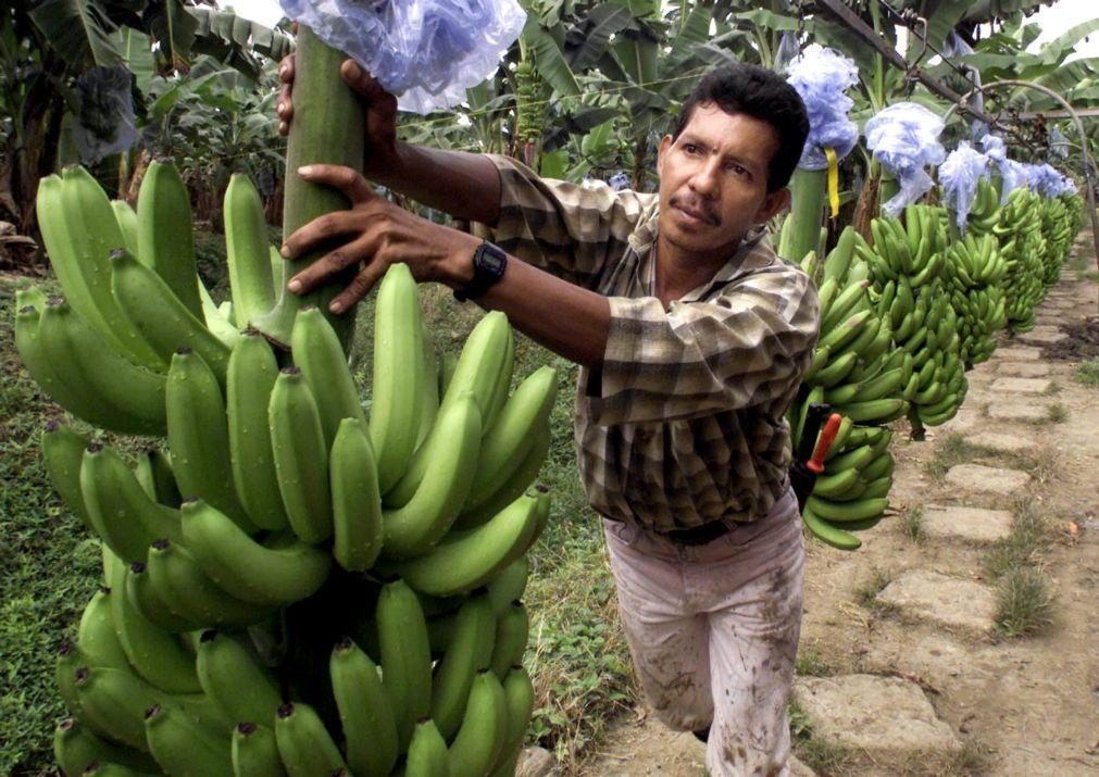 Chiquita condenada nos EUA a indemnizar vítimas de paramilitares da Colômbia