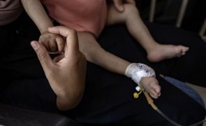Mais de 8.000 crianças menores de cinco anos tratadas por subnutrição aguda em Gaza
