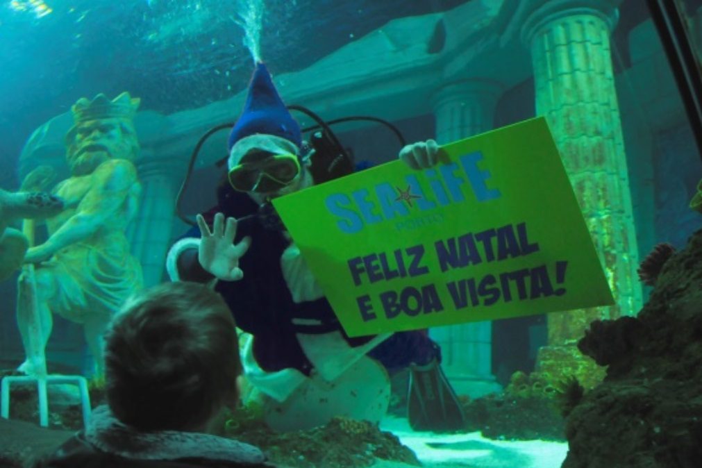 Pai Natal dos Oceanos anima época festiva no SEA LIFE