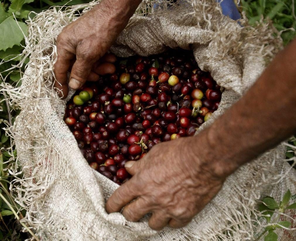 Moçambique tem condições para ser 