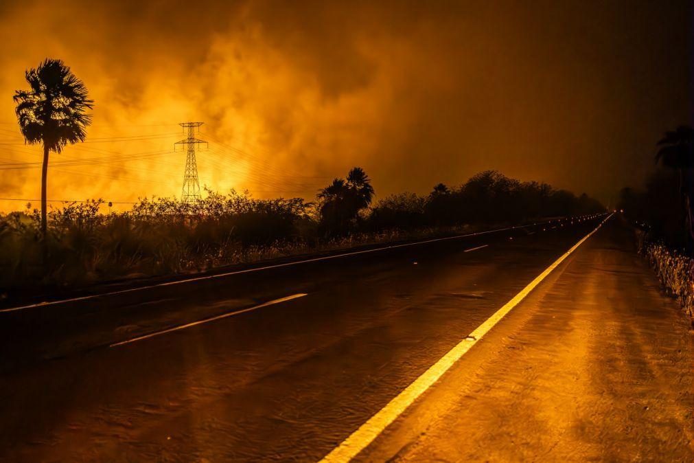 Um quarto do território brasileiro atingido pelo fogo nos últimos 40 anos