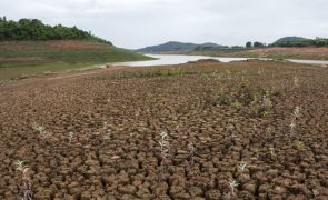 Quase metade de Portugal continental estava em seca meteorológica no fim de maio