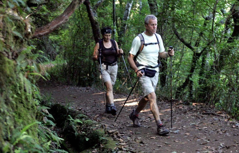 UNESCO decide classificação como Património Mundial das Levadas da Madeira em julho