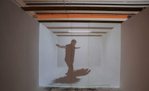 Exposição de João Fiadeiro em Lisboa viaja por 35 anos de percurso artístico