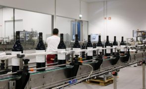 Grande Prova de Vinhos de Portugal leva a Luanda 22 produtores nacionais