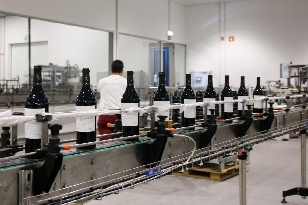 Grande Prova de Vinhos de Portugal leva a Luanda 22 produtores nacionais