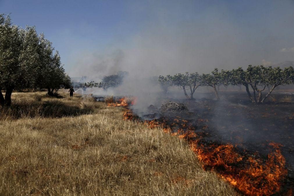 Grande incêndio nos arredores de Atenas obriga a retirar milhares de pessoas