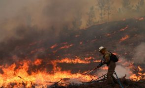 Relatório alerta para possibilidade de fogos 