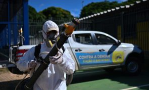Brasil ultrapassa seis milhões de casos prováveis de dengue este ano