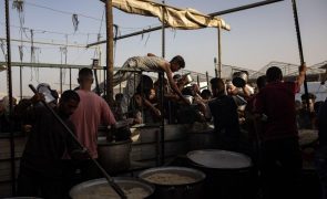 Situação alimentar continua catastrófica para 495.000 pessoas na Faixa de Gaza