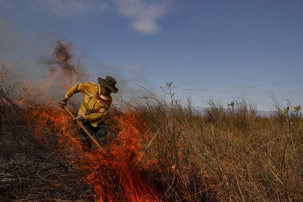 Autoridades brasileiras denunciam mão humana nos incêndios do Pantanal