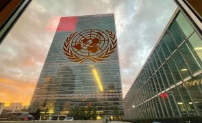 Nações Unidas querem reflexão profunda sobre golpes de Estado em África