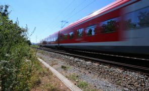 AR recomenda aprovação do Plano Ferroviário Nacional após debate com acusações entre PSD e PS