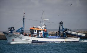 Pescadores podem candidatar-se a apoio de 1,3 ME face à proibição da pesca do espadarte