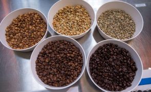 Preços mundiais do café atingem máximo de 13 anos