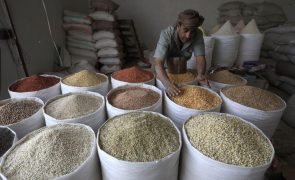 Produção mundial de cereais atinge novo máximo histórico em 2024