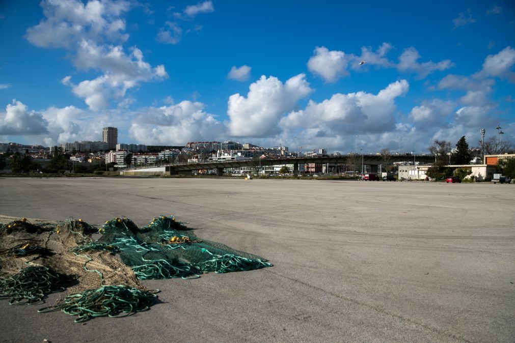 Armadores e pescadores da doca de Pedrouços contra despejos sem alternativa no porto de Lisboa