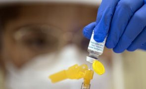 RDCongo regista aumento exponencial de casos de varíola dos macacos