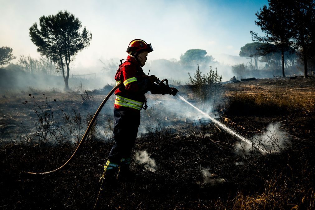 Proteção Civil alerta para risco de incêndio rural com temperaturas nos 40 graus