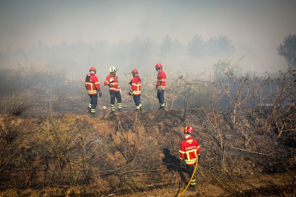 Três incêndios em Leiria e Batalha mobilizam mais de 300 operacionais