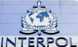 PJ detém 31 em Portugal em operação transnacional contra crime organizado na África Ocidental