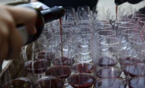 Douro corta 14.000 pipas na produção de vinho do Porto para um total de 90.000