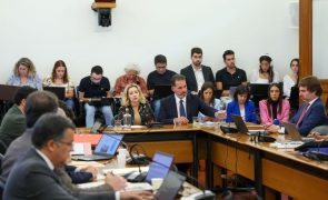 CPI aceita documentação do PSD sobre seguradora e adia queixa contra mãe das gémeas