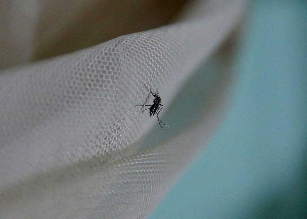 Casos de malária aumentaram 14% em Moçambique nos últimos quatro anos
