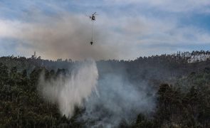 Perigo máximo de incêndio rural em mais de 50 concelhos do continente