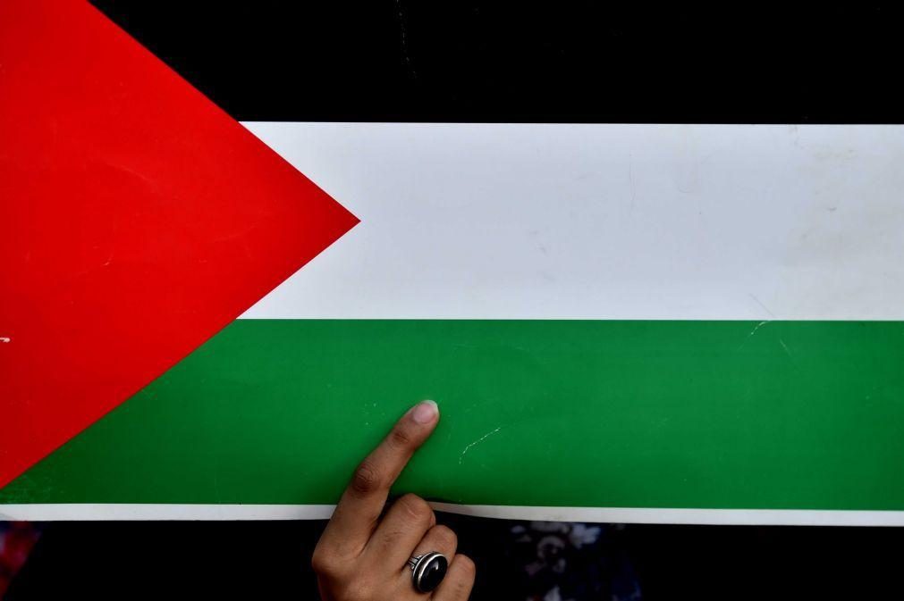 A Palestina não é sobre bandeiras nem países, é sobre direitos humanos - DAM