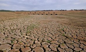 Efeitos de seca recorde em África entram na sua pior fase