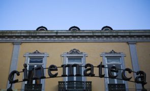 Ministério da Cultura designa Rui Machado e Nuno Sena para direção da Cinemateca