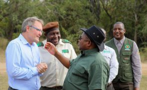 Greg Carr orgulhoso com Gorongosa mais de 20 anos depois de redescobrir parque moçambicano