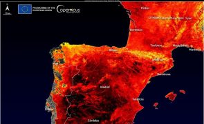 Guarda, Castelo Branco, Portalegre e Faro em perigo máximo de incêndio