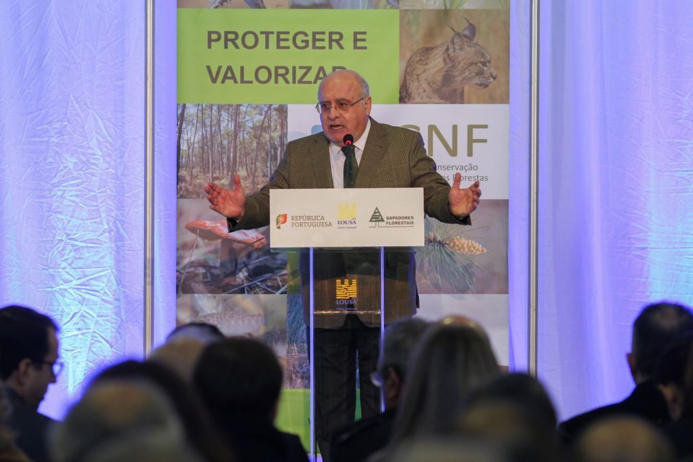 Quase 22 mil candidaturas na agricultura, apoio superior a 60ME