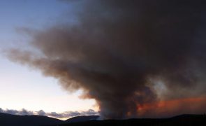 Mais de 20 concelhos do interior Centro e Algarve em risco máximo de incêndio