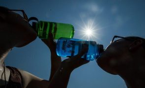 Bragança, Guarda e Vila Real em alerta vermelho devido ao calor entre sexta-feira e sábado