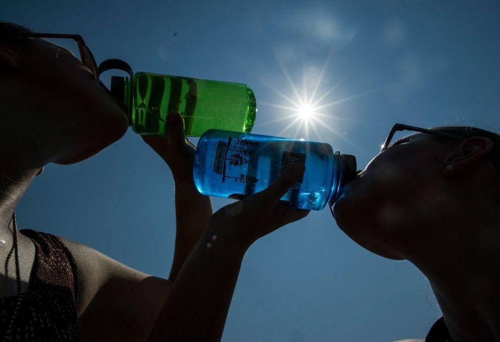 Bragança, Guarda e Vila Real em alerta vermelho devido ao calor entre sexta-feira e sábado