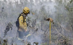 Portugal envia dois especialistas para colaborar no combate aos incêndios no Pantanal